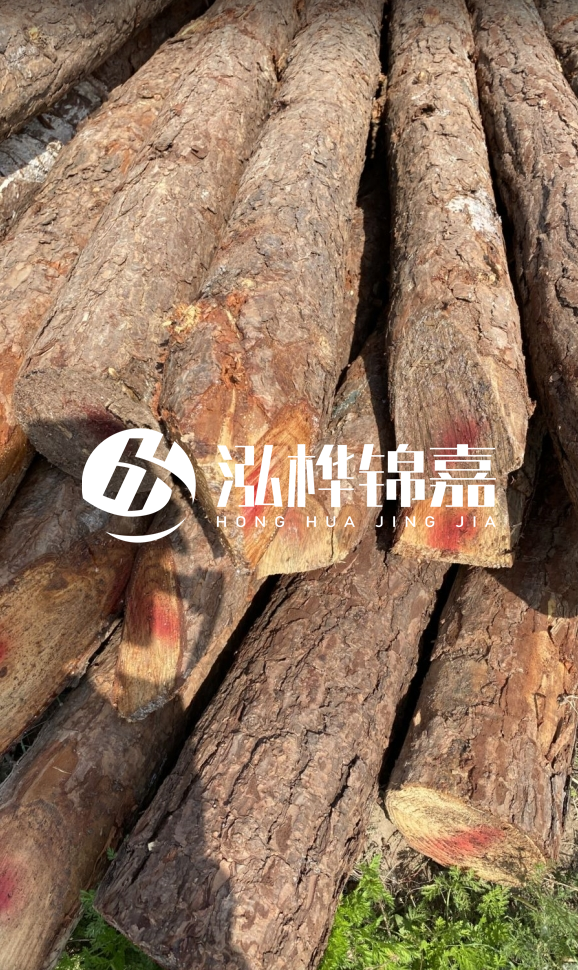 <strong>松木樁和杉木樁的用途區(qū)別？哪個更適合打樁用？</strong>
